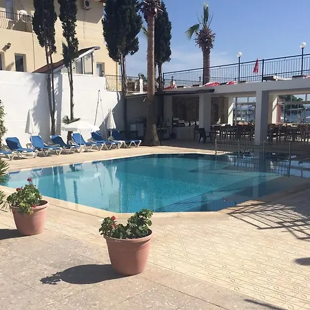 Cemre 图尔古特雷斯