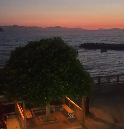 Cemre 图尔古特雷斯